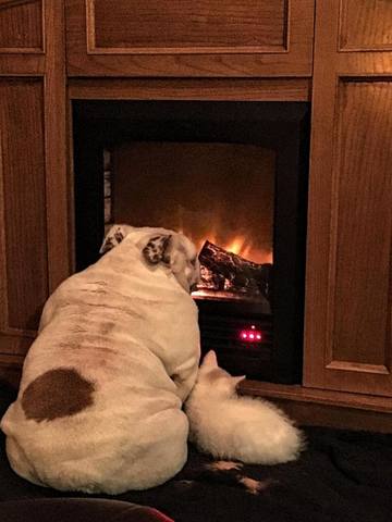 Чайная беседка