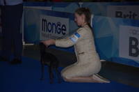 VFL.RU - ваш фотохостинг