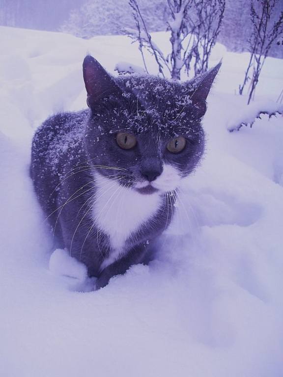 Надежда Духанина (30)