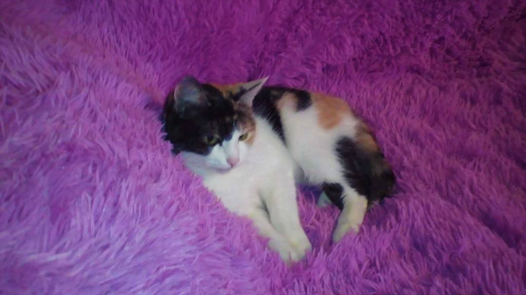 Надя Духанина (135)