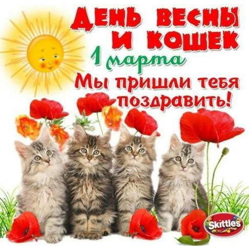 Кто сказал "Мяу"?