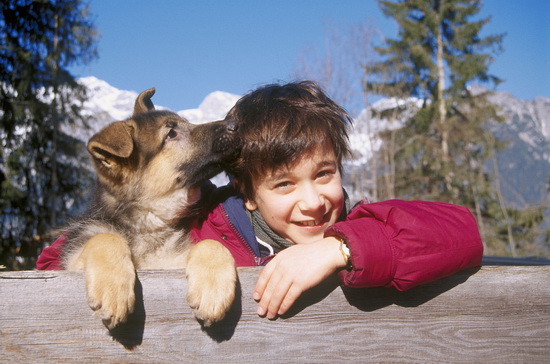 http//images.vfl.ru/ii/1551608876/6e900c/25616205.jpg