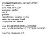 Жужа анк Kristinarai