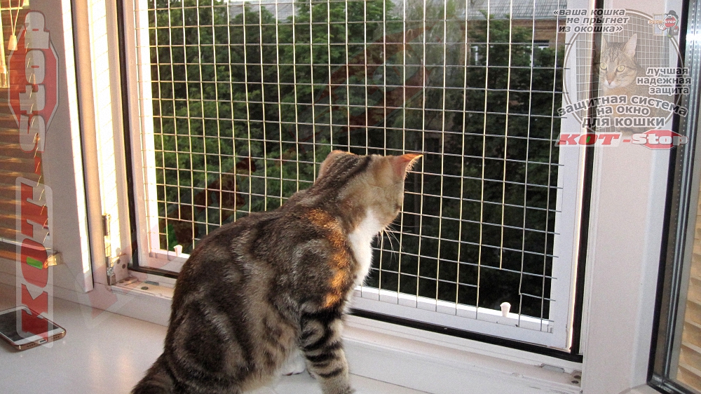 Защитная решетка для кошек антикошка на окно 1