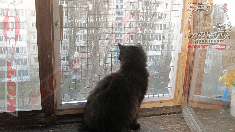 Защитная решетка для кошек антикошка на окно 4