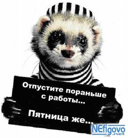 Размещенное изображение
