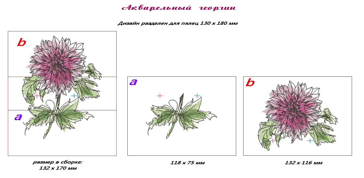 Аквагеоргин разделен для 130 180