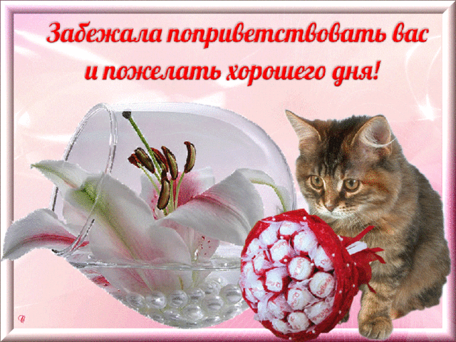 Чайная беседка