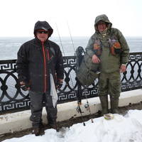 VFL.RU - ваш фотохостинг