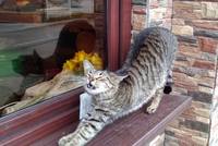 VFL.RU - ваш фотохостинг