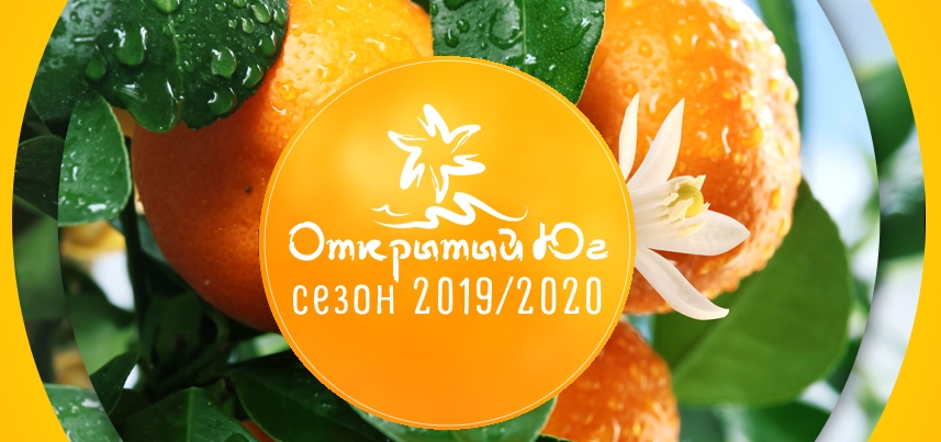 Открытый юг 2019-2020 4f52d13750c9e54f0556ee9ea207d216.jpg