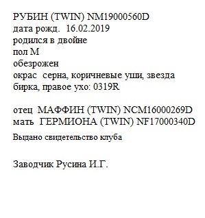 Рубин анк Ирина Русина