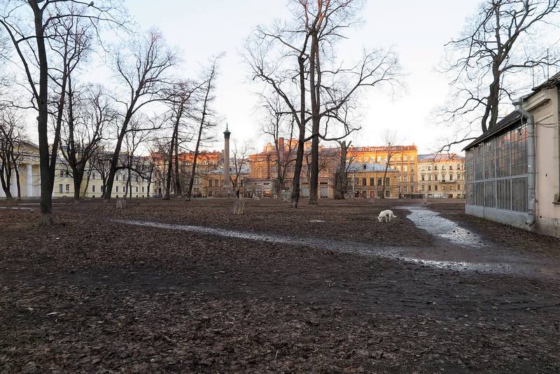 Прогулка по Васильевскому острову Петербурга Прогулка по Васильевскому острову Петербурга