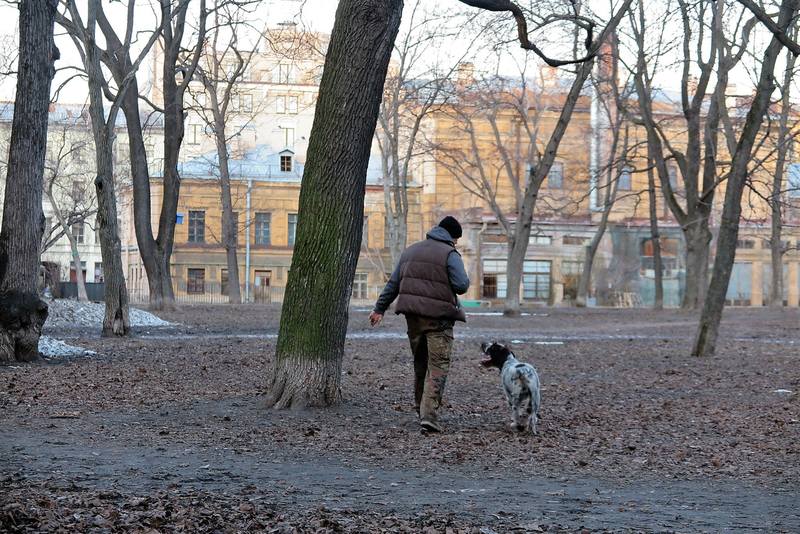 Прогулка по Васильевскому острову Петербурга Прогулка по Васильевскому острову Петербурга