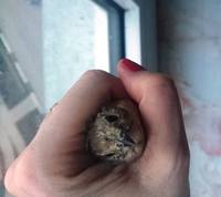 VFL.RU - ваш фотохостинг