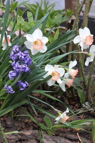 Чайная беседка