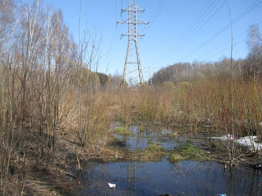 VFL.RU - ваш фотохостинг VFL.RU - ваш фотохостинг