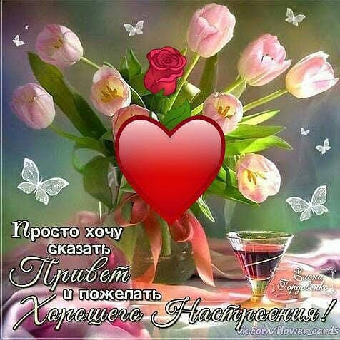 Чайная беседка