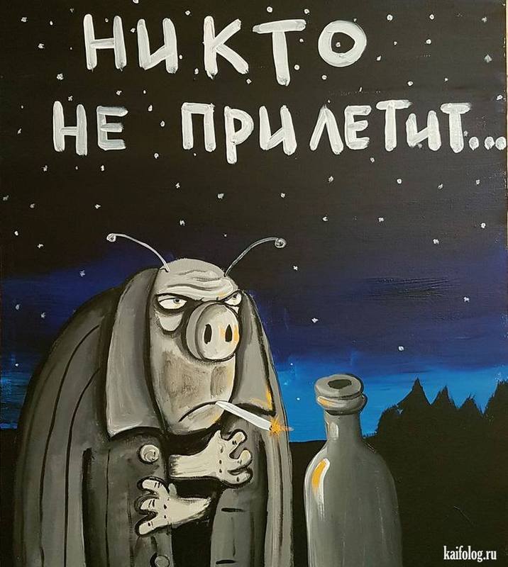 Котики Ложкина Котики Ложкина