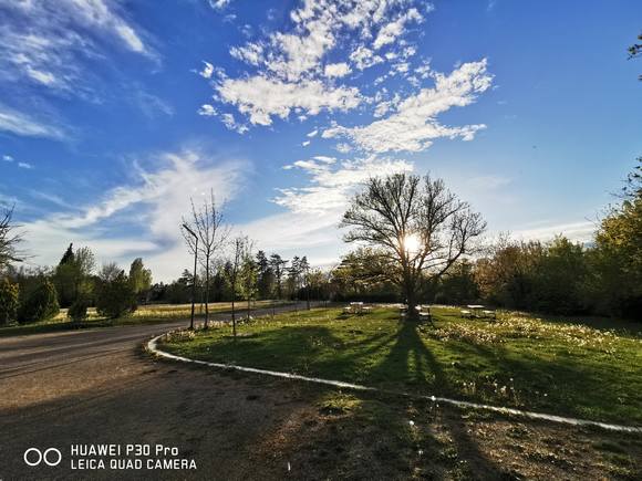 Публикувано изображение