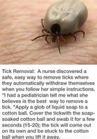Tick removal