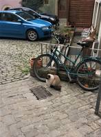 VFL.RU - ваш фотохостинг