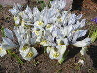 VFL.RU - ваш фотохостинг