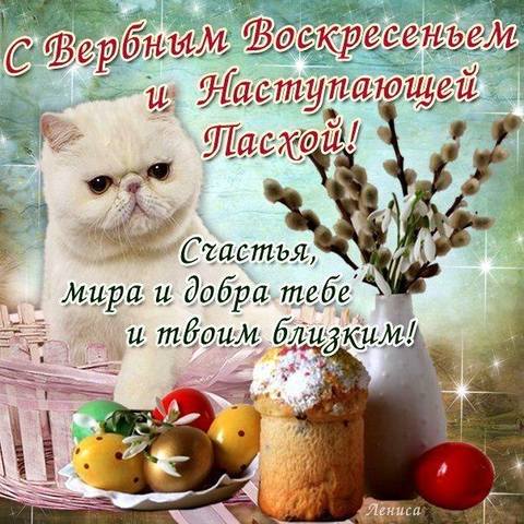 Кафе "У пани Сони"