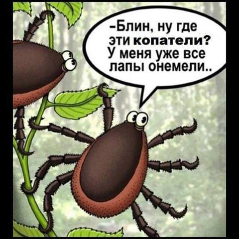 {Изображение}