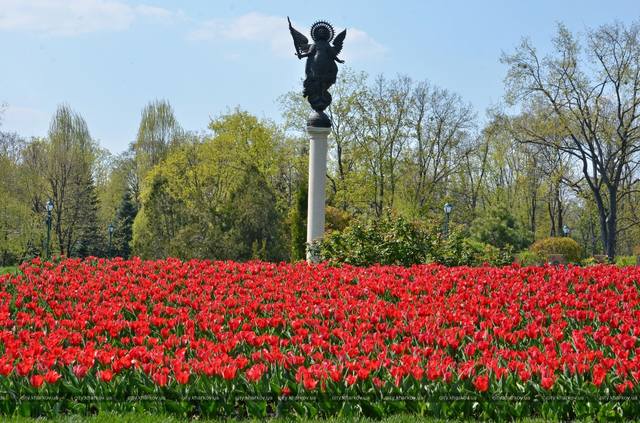 VFL.RU - ваш фотохостинг