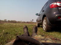 VFL.RU - ваш фотохостинг