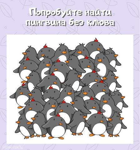 Кафе "У пани Сони"