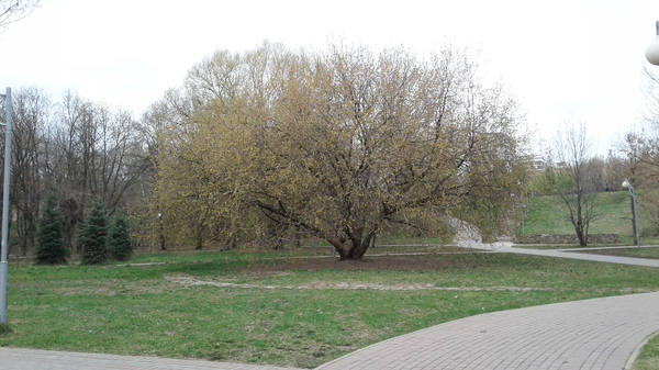VFL.RU - ваш фотохостинг VFL.RU - ваш фотохостинг