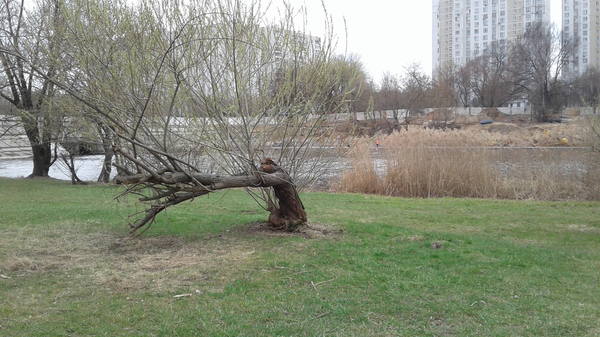 VFL.RU - ваш фотохостинг VFL.RU - ваш фотохостинг