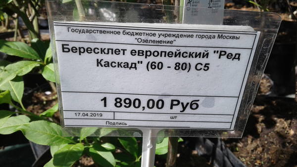 VFL.RU - ваш фотохостинг VFL.RU - ваш фотохостинг