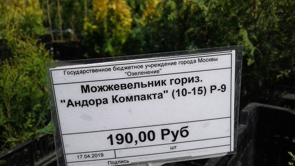 VFL.RU - ваш фотохостинг VFL.RU - ваш фотохостинг