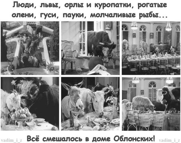 Тарталетки & Ко