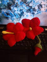 Колибри этап 7