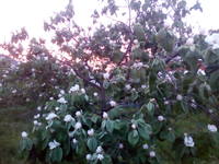 VFL.RU - ваш фотохостинг