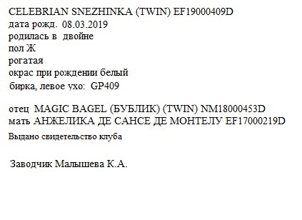 SNEZHINKA анк Kristinarai