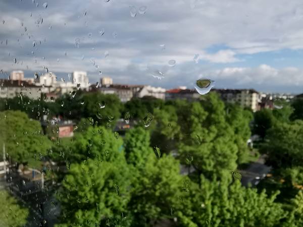 Публикувано изображение