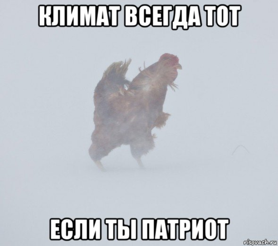 26502339_m.png