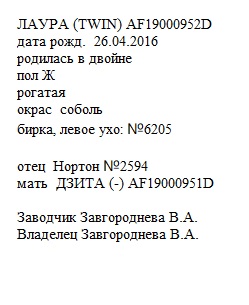 Лаура анк Alpinika