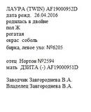 Лаура анк Alpinika