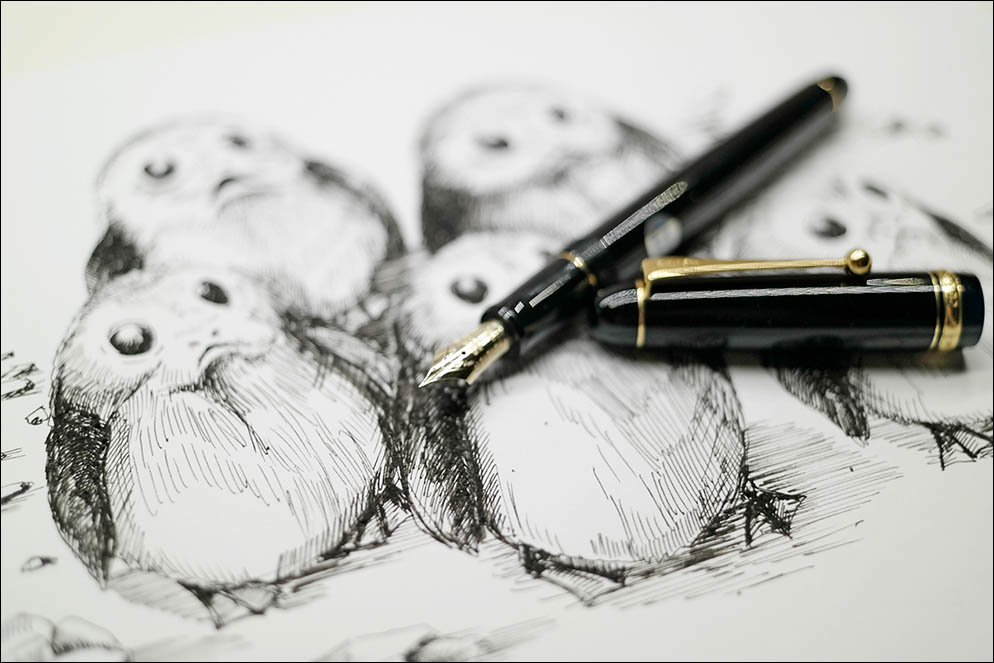 Pilot Custom 74. Lenskiy.org
