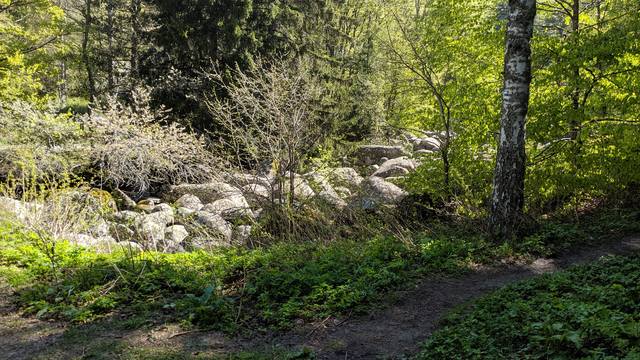 Публикувано изображение