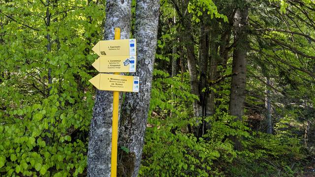 Публикувано изображение