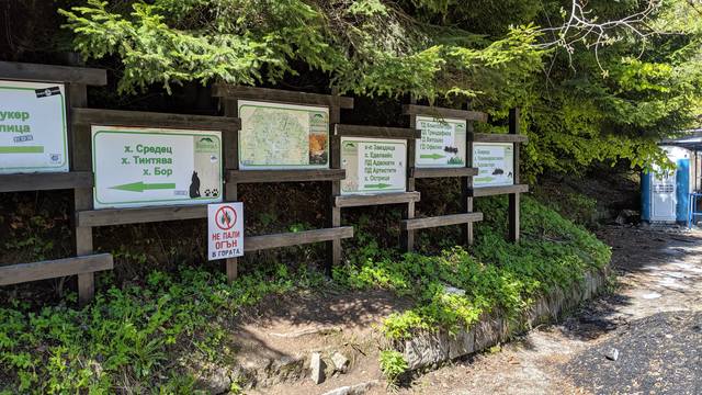 Публикувано изображение
