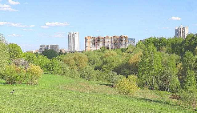 В парке 50-летия Октября (Раменском). Фото Морошкина В.В.