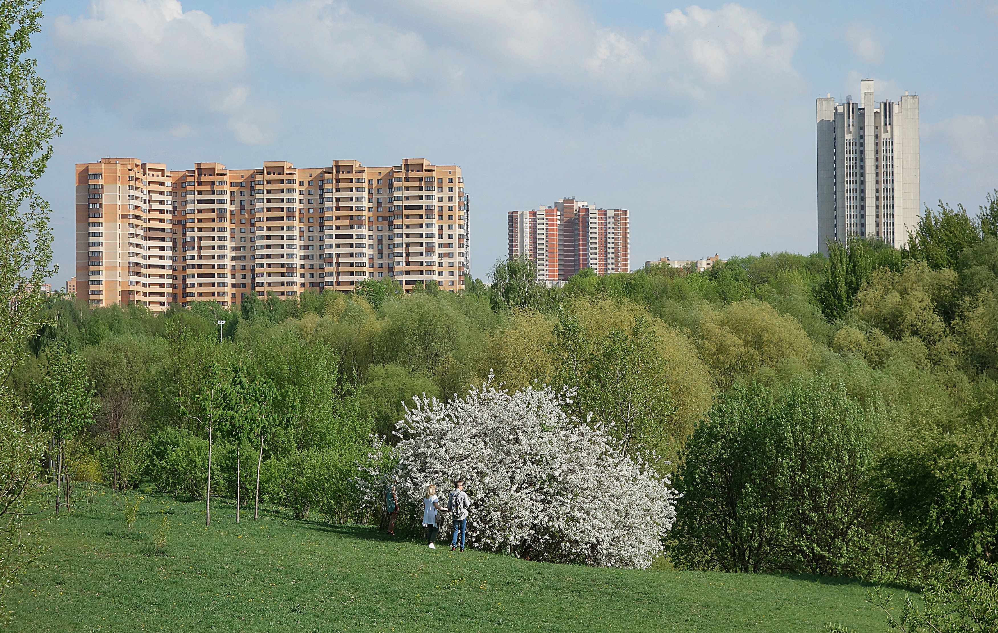 В Раменском парке Москвы. Фото Морошкина В.В.